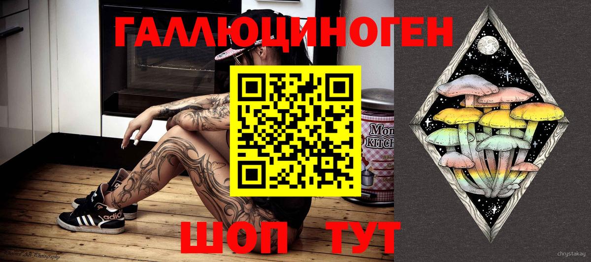 Галлюциногенные грибы Psilocybe Десногорск