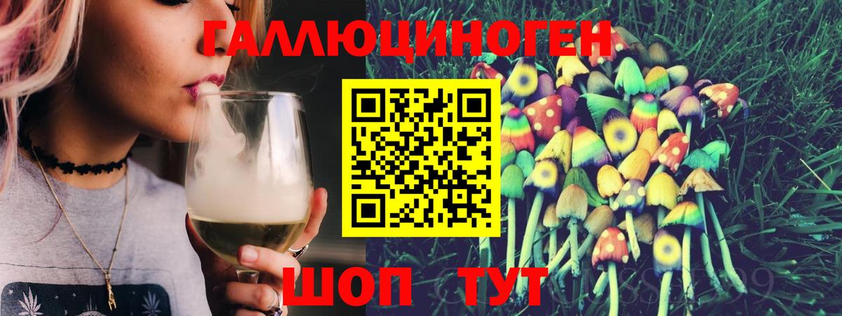 Десногорск  Галлюциногенные грибы Psilocybine cubensis  Вход с VPN 